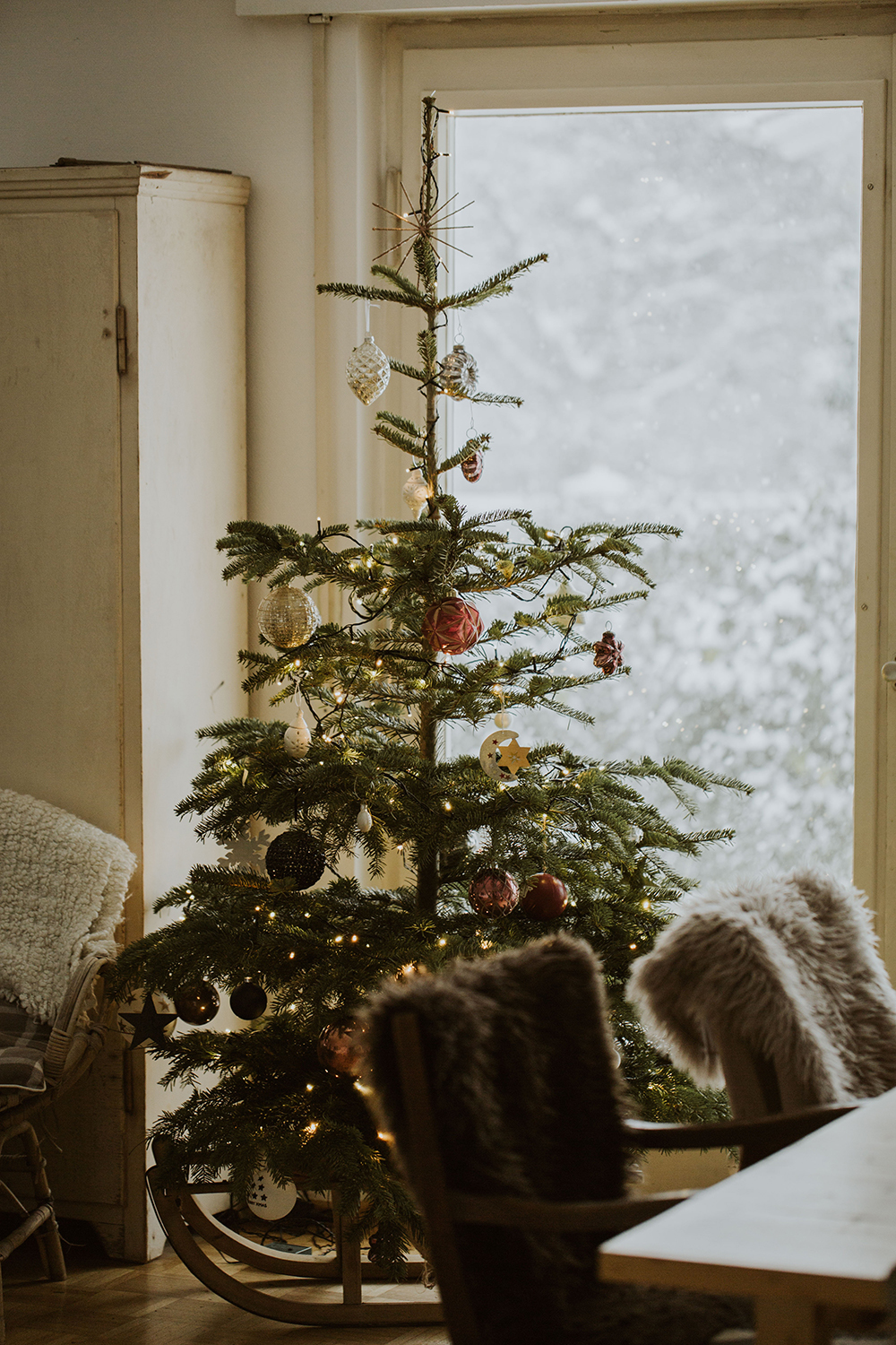Real Christmas Tree 101: Everything You Need to Know About Tree Care