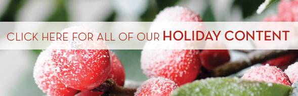 Sugar covered red berries on a twig with a text overlay about holiday content.