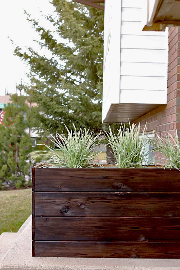Square planter box made of dark wood planks and filled with grass-type plants, alongside the wall of a home.