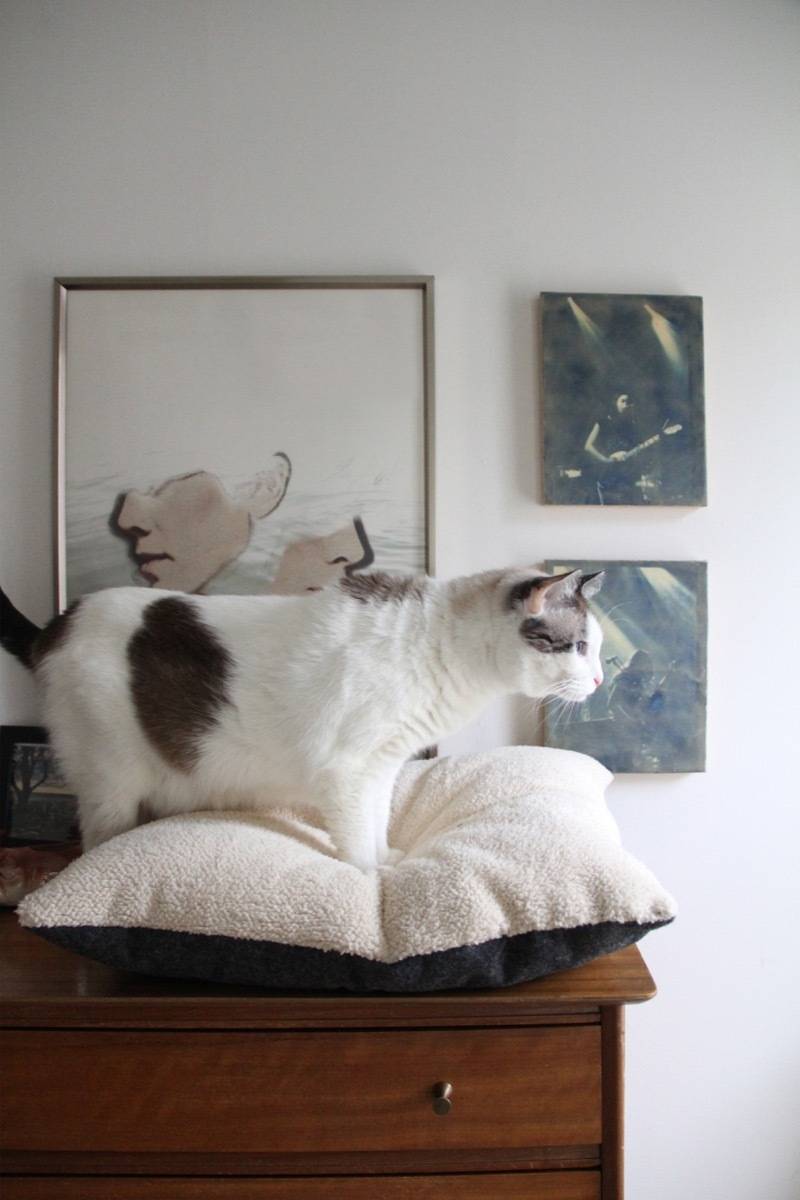 How to make a plush and minimal cat bed.