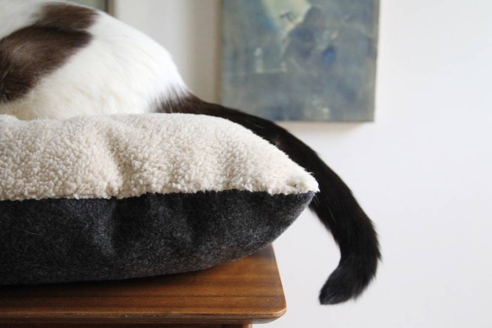 Learn how to sew your own kitty cat bed!