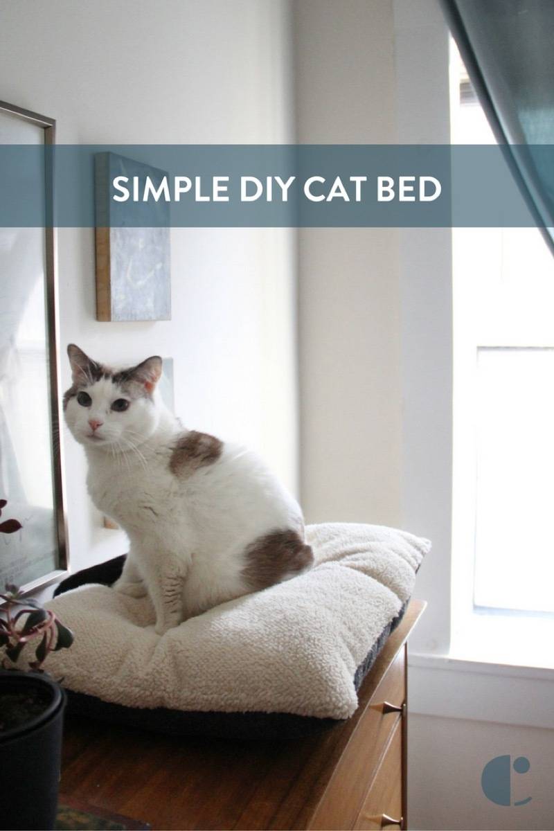 cum să faci un pat de pisică DIY.