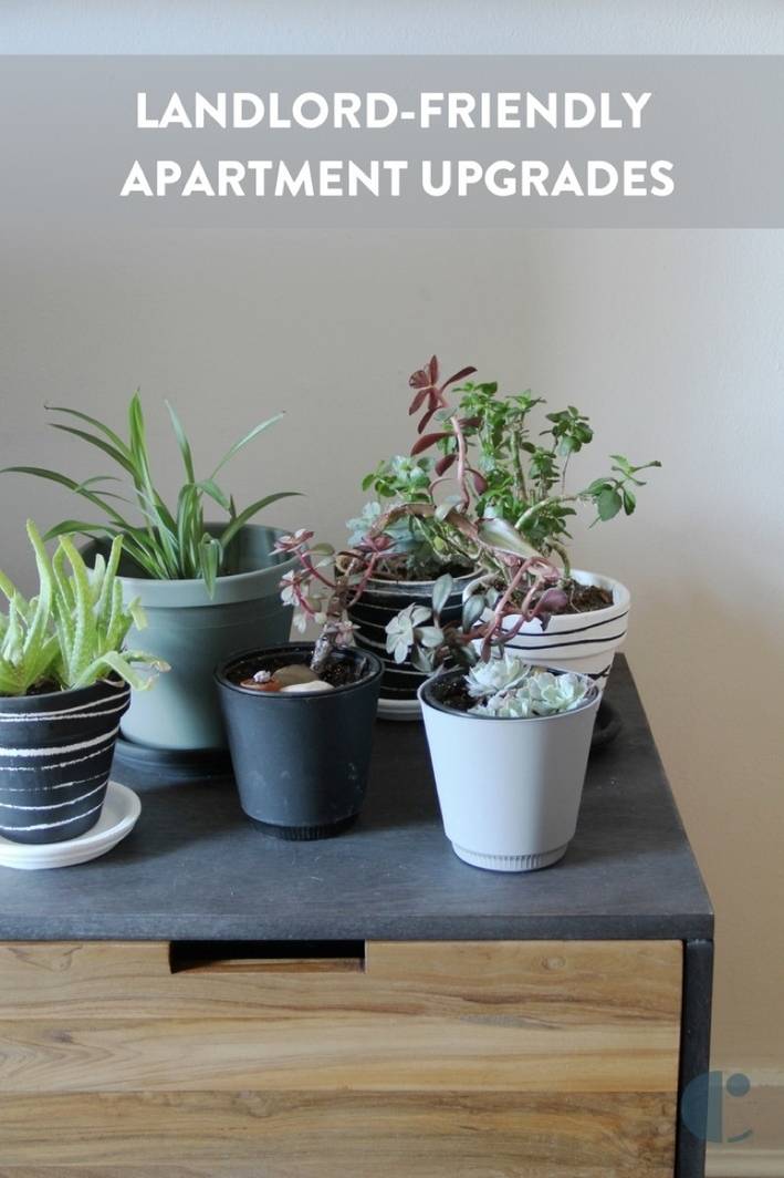 Landlord-Friendly Apartment Upgrades