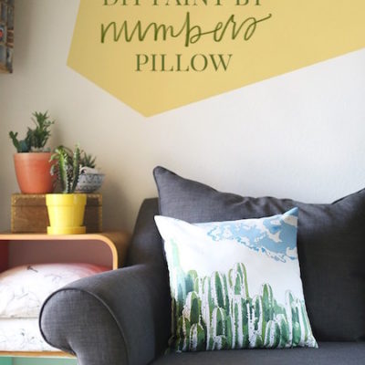 Paint by Numbers Succulent Pillow