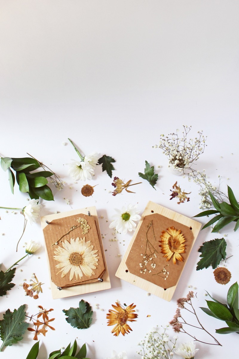 Make this DIY flower press from wood and bolts