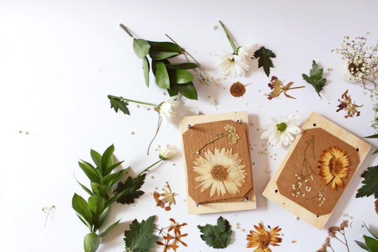 How to Make a DIY Flower Press