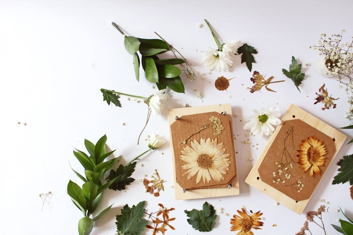 How to make your own flower press