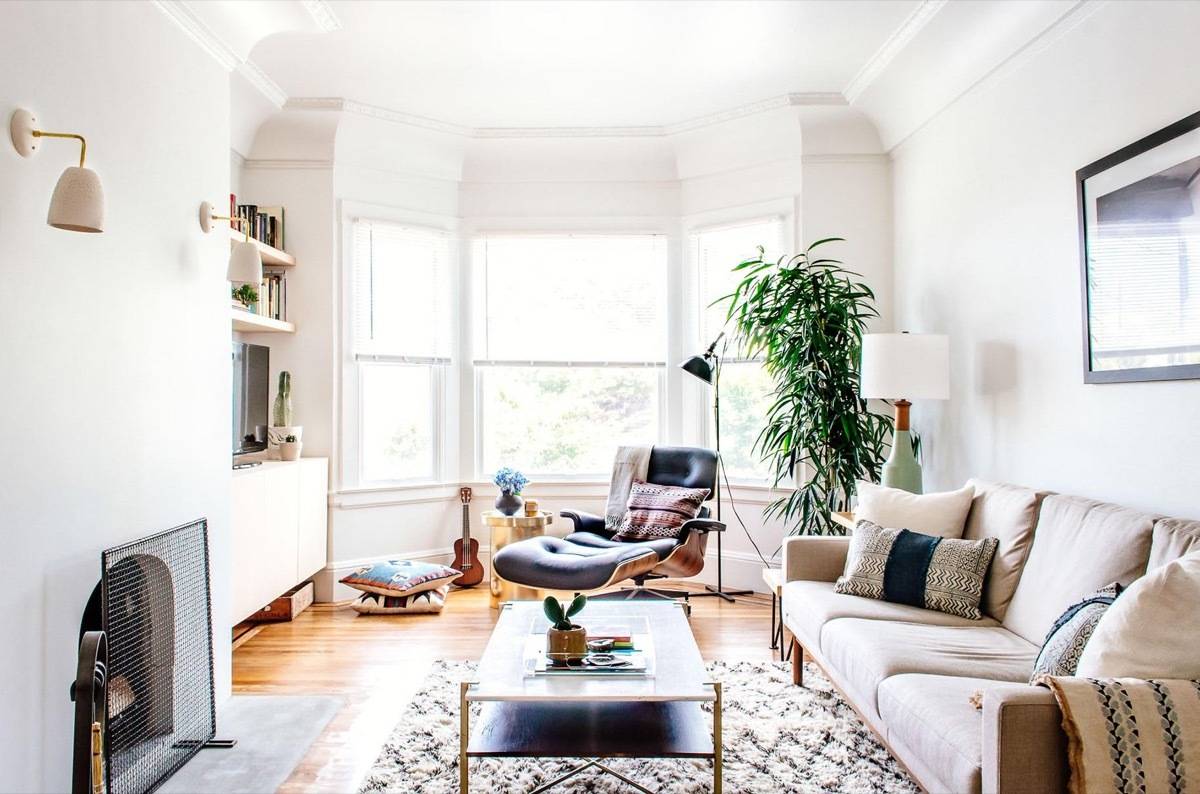 A white colour room having a sofa set, table, green plant and a lamp.