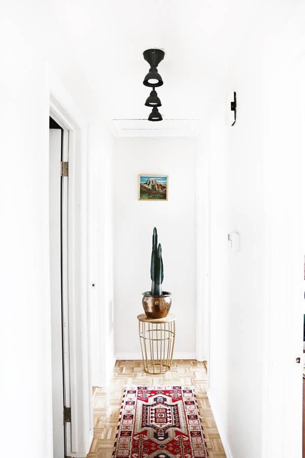 Best Low Light Houseplants