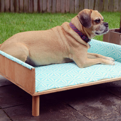 DIY Upholstered Outdoor Dog Bed