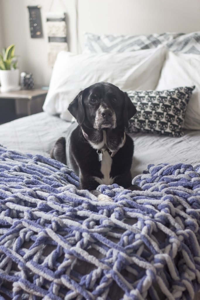 Dog on arm knit blanket