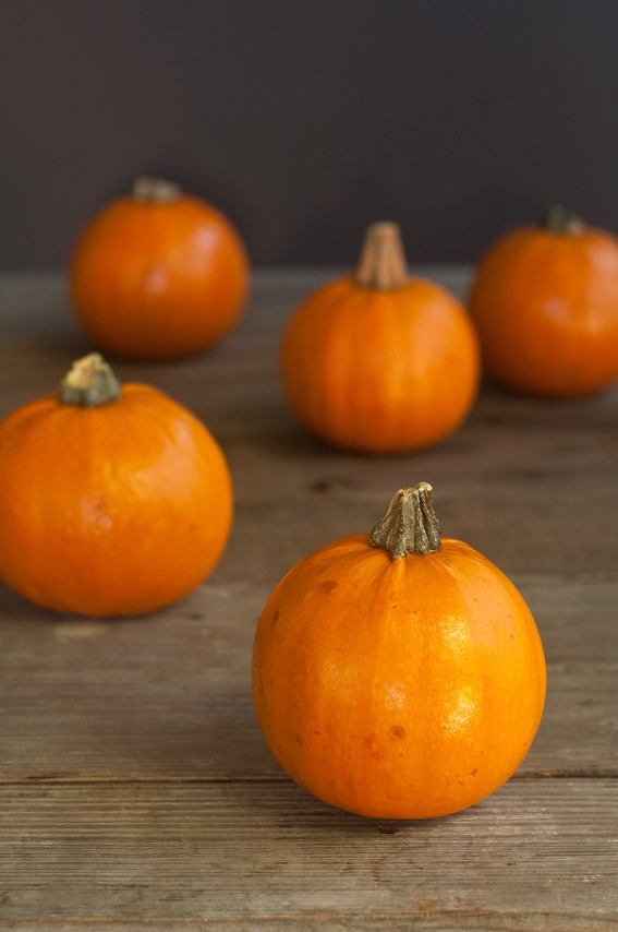 Group of small pumpkins on wooden table.