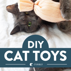 diy cat toys