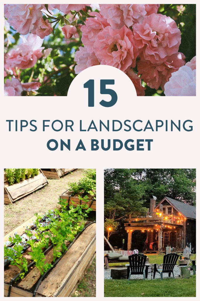 budget landscaping tips