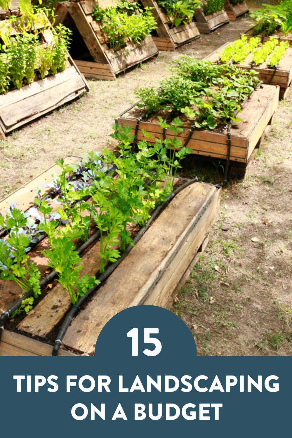 15 Tips For Landscaping On A Budget 🌱