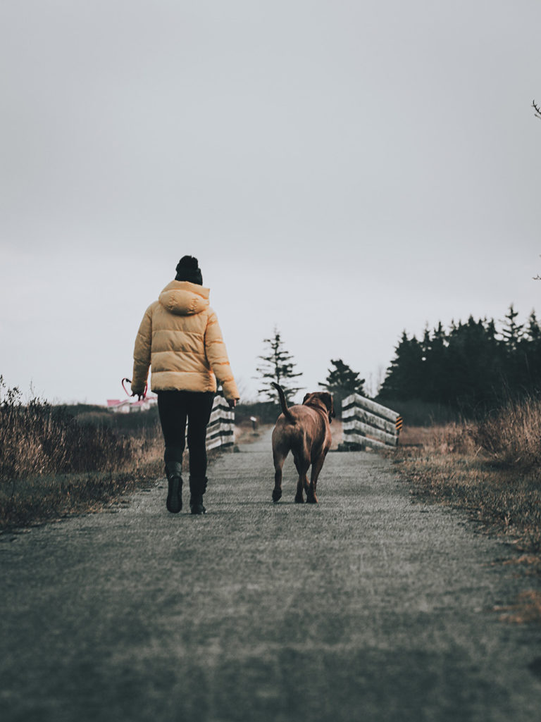 woman walking her dog on a trail