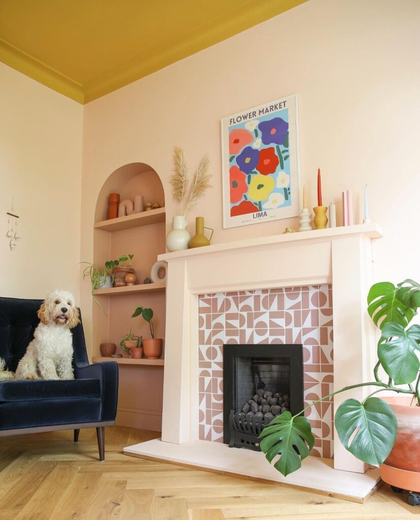 Pink geometric tiles are perfect for this pooch. 