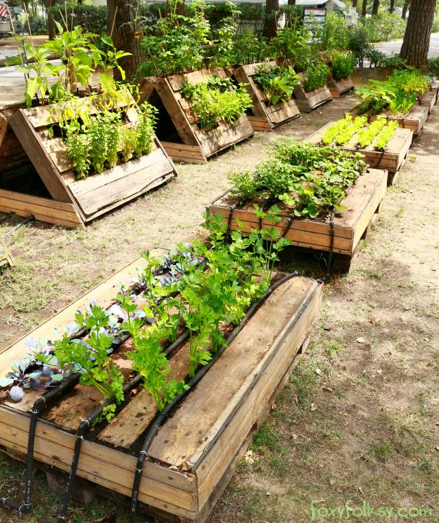 pallet garden planters