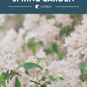 Spring garden pin with blooming tree