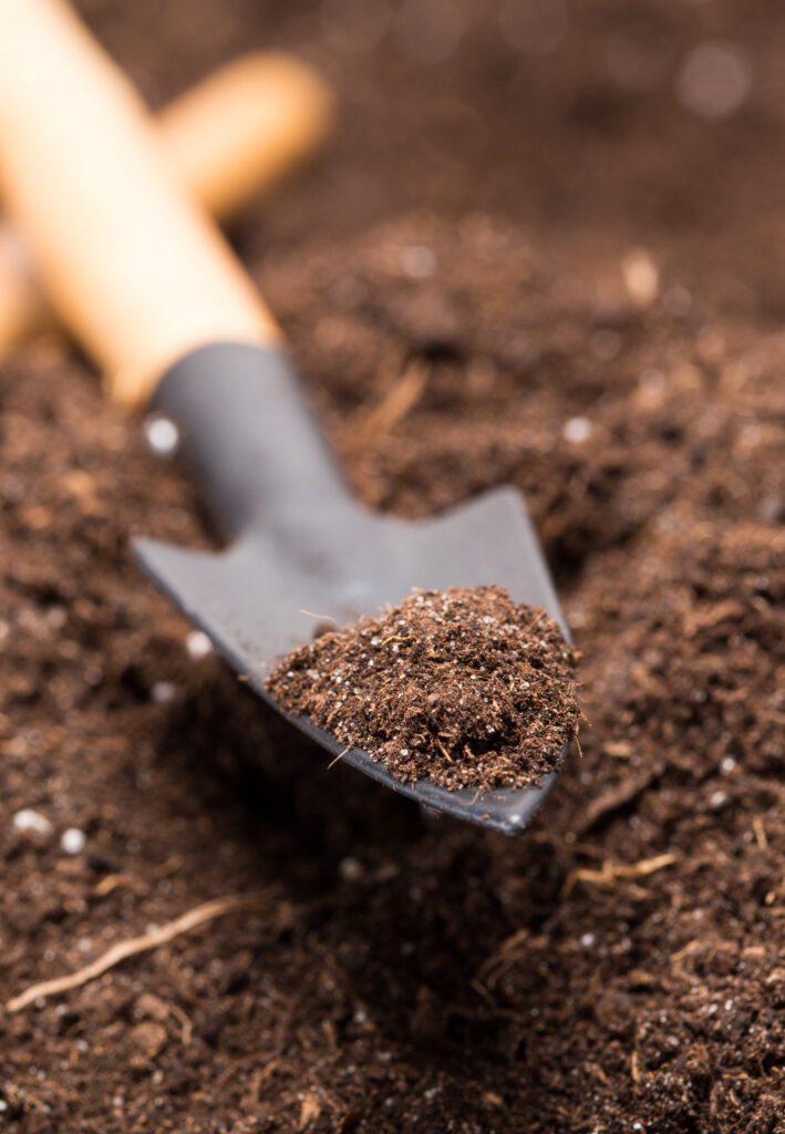 soil and hand shovel