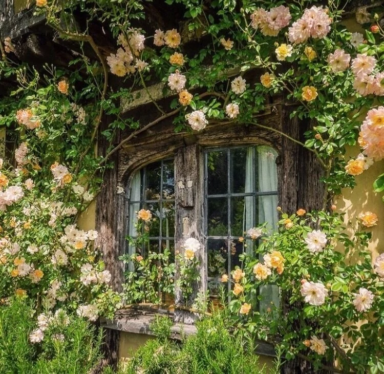 English cottage with climbing roses, vines, and greenery.