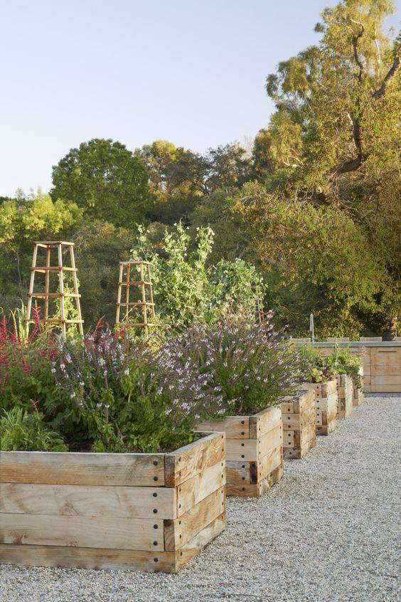 Learn how to how to plan for a beautiful raised garden bed. 