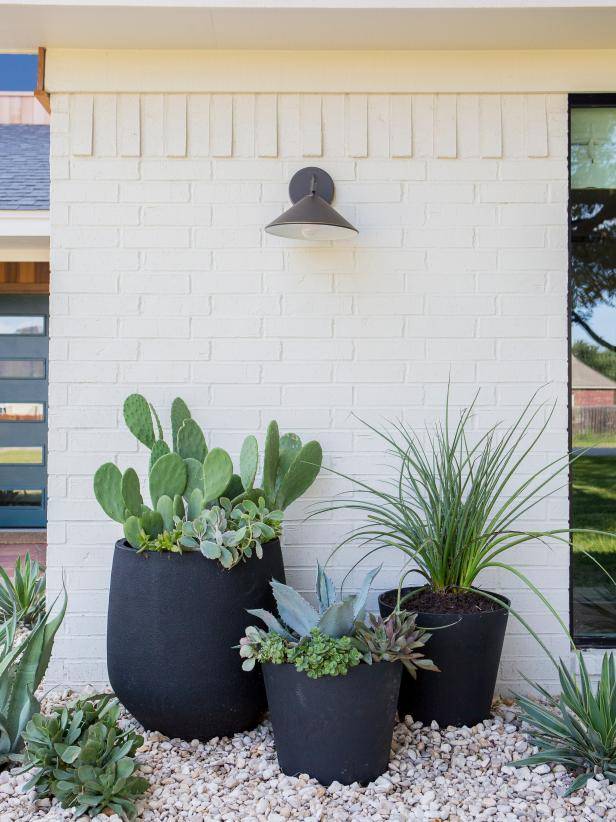 These low water, drought tolerant succulents are perfect for warmer climates. 