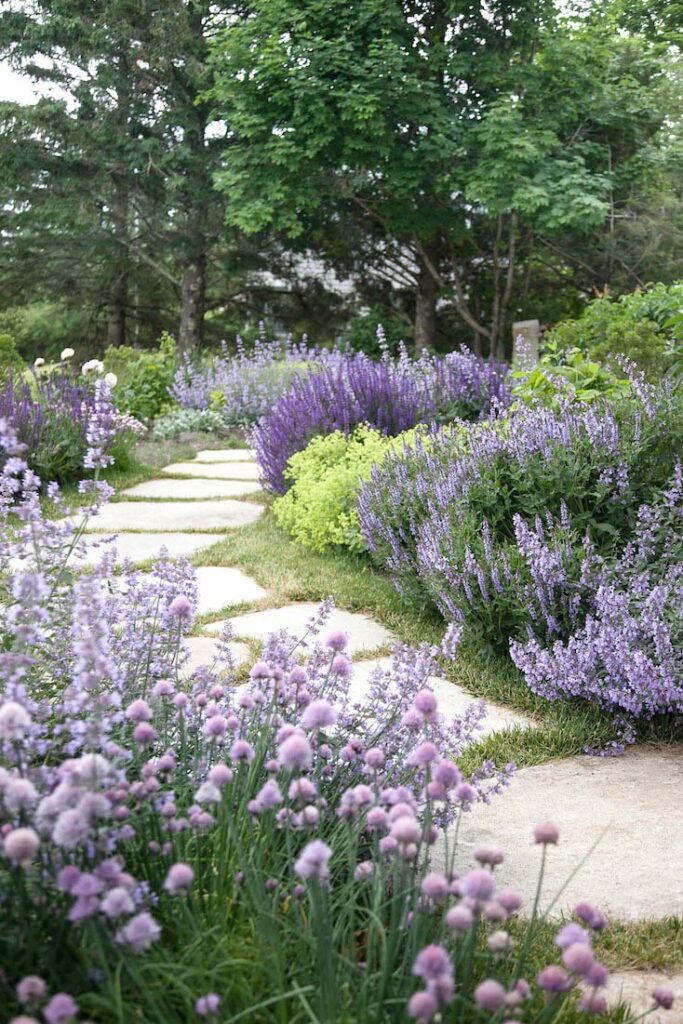 Create a flower-filled path like this example from The Creativity Exchange. 