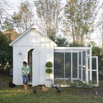chicken house from the brown shed
