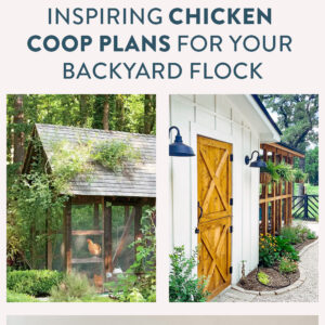 chicken coop inspiration