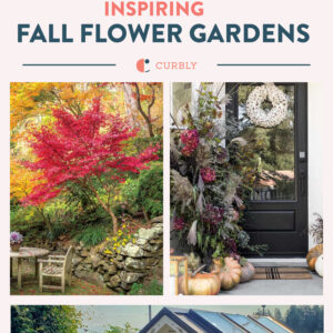 fall flower garden inspiration