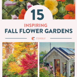 fall flower garden inspiration