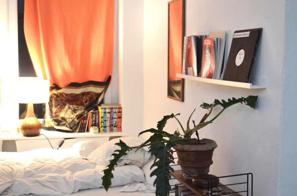 Exotic plant near bed and windowsill with luminous lamp.