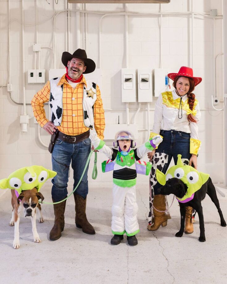 Toy Story Family Costumes