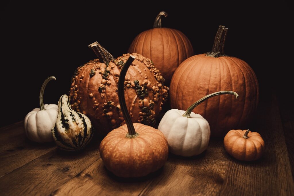 fall pumpkin varieties