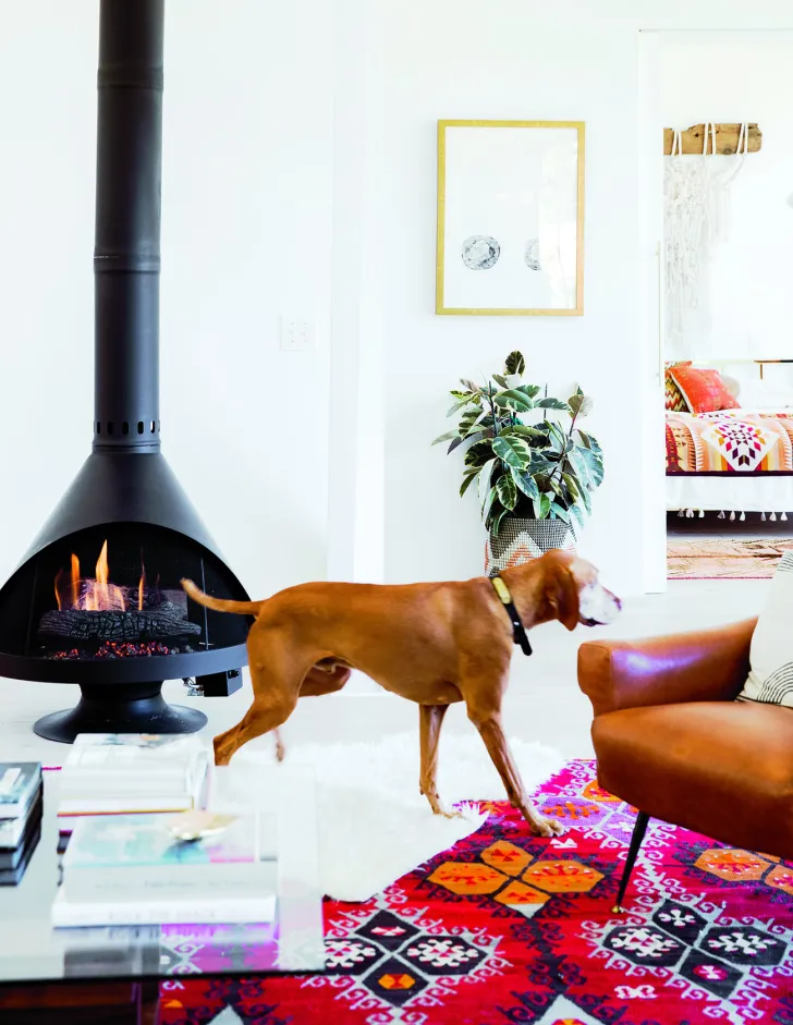 freestanding fireplace and a dog. 