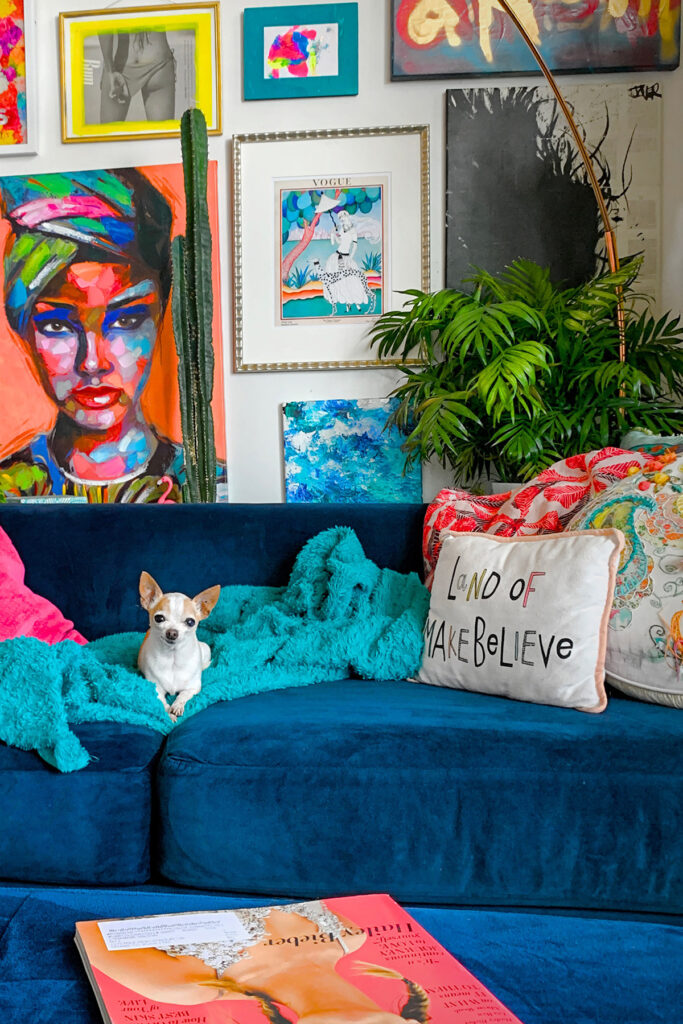 small dog on a couch in front of a parlor palm.