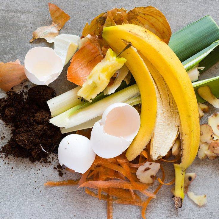 Food scraps including a banana, egg shells and carrots