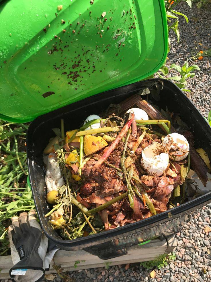 Large black bokashi compost bucket bin