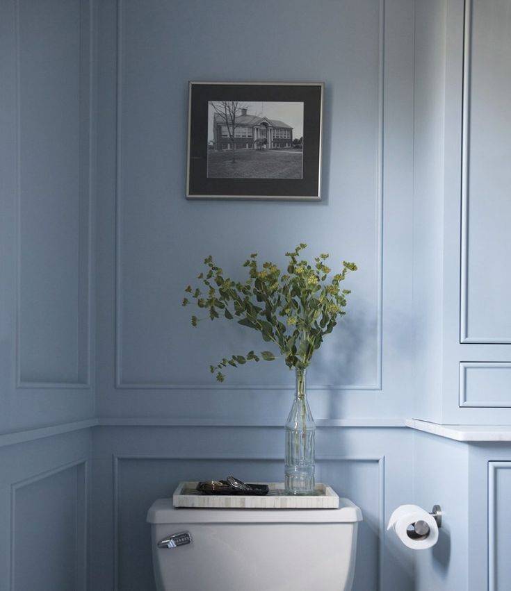 Powder blue bathroom with toilet, painting and green plant