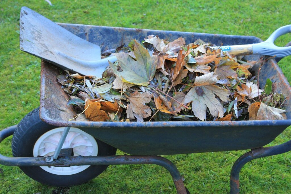 wheelbarrow, tools, garden