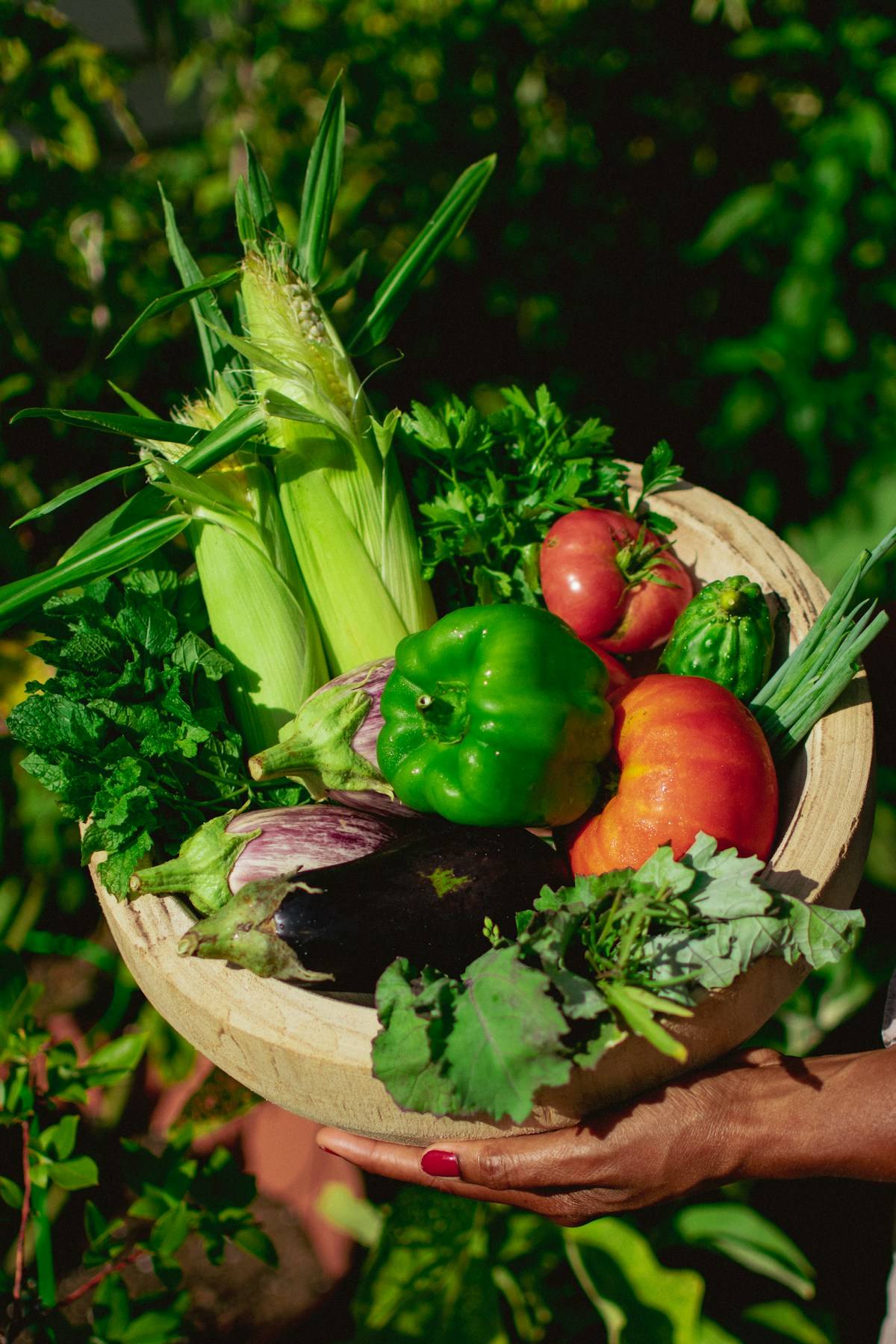 hand holding vegetables from a home vegetable garden